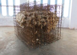 E. Nieves. “TAC, 2024”.